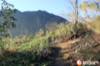 images/gallery/ijen-crater/IMG_7709.jpg