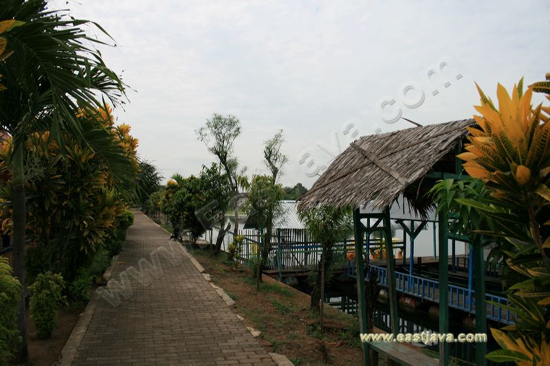 Ranu Grati Or Grati Lake In Pasuruan East Java: Presents Beautiful Ranu Grati Or Grati Lake In Pasuruan East Java: Presents Beautiful