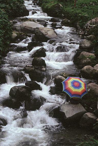 umbrella.jpg (50542 bytes)