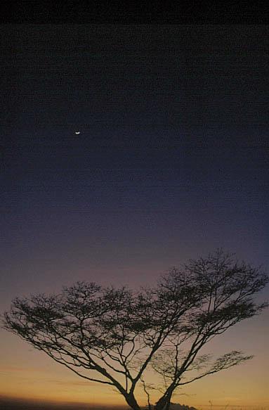 afterthesunhasgone.jpg (30575 bytes)