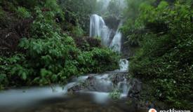 ../images/gallery/tirtosari/Air-Terjun-Tirtasari-Wonomulyo.jpg