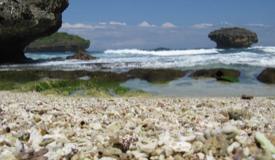 images/gallery/srau/srau-beach-pacitan-east-java-3.jpg