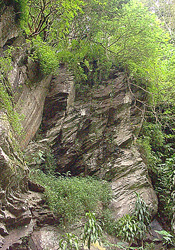 wall_climbing spot