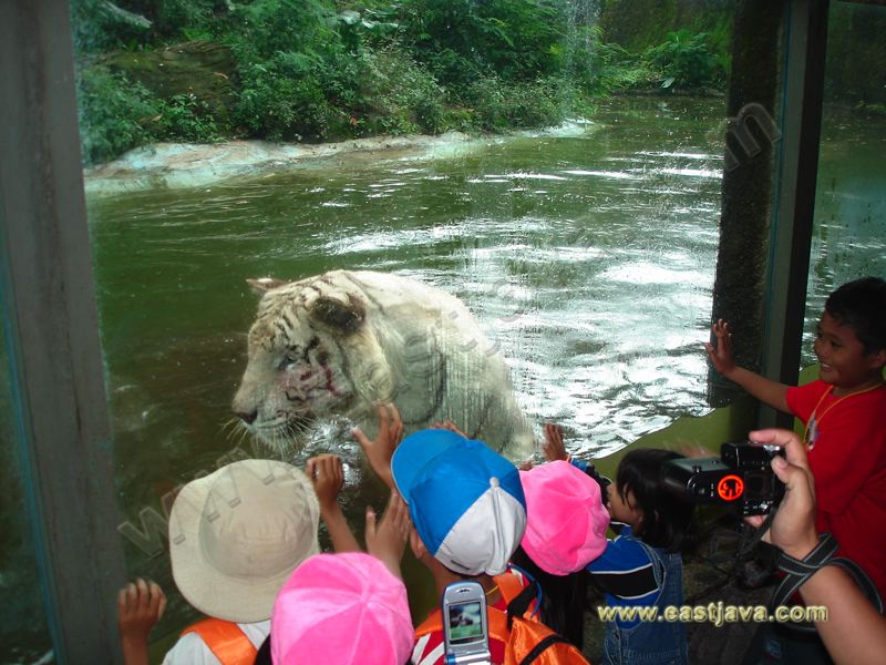 taman_safari_ii_06.jpg