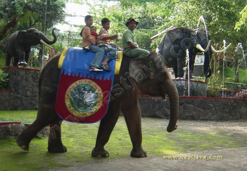 taman_safari_ii_10.jpg