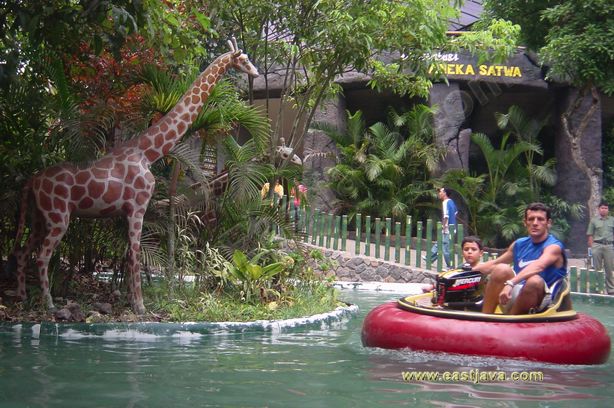 taman_safari_ii_27.jpg