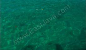 images/gallery/gili-ketapang/gili_ketapang_island_11.jpg