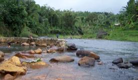 ../images/gallery/hot-spring/probolinggo_hot_spring_04.jpg