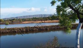 ../images/gallery/pasir-putih/pasir-putih20.jpg