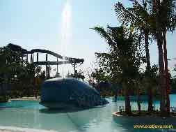 images/gallery/ciputra_waterpark/ciputra-water-park-29.jpg