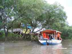 images/gallery/mangrove/maade1_1.jpg