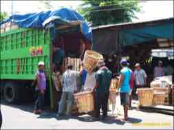 images/gallery/peneleh_fruit_market/peneleh-fruit-market-05.jpg