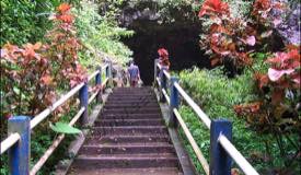 ../images/gallery/goa-lowo/gua-lowo-023.jpg